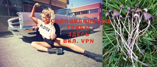 PSILOCYBIN Новокубанск