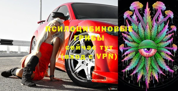 хмурый Нефтекумск