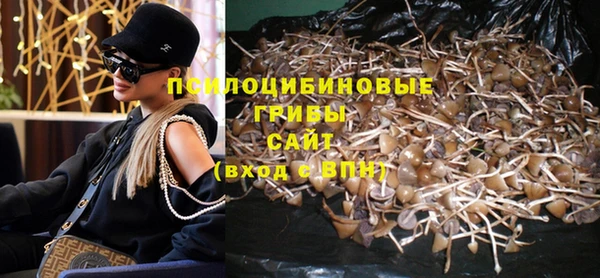 хмурый Нефтекумск