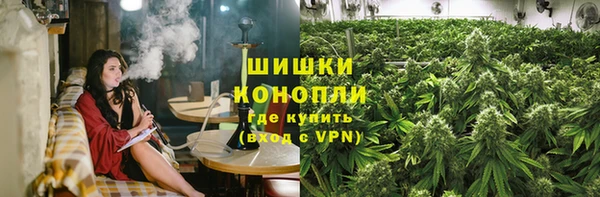 прущие грибы Нефтегорск