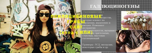 прущие грибы Нефтегорск