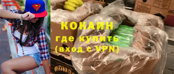 гашик Новозыбков