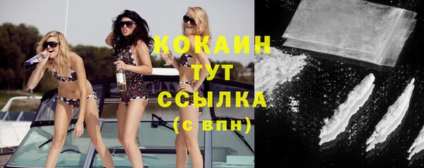 прущие грибы Нефтегорск