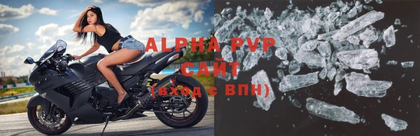 прущие грибы Нефтегорск