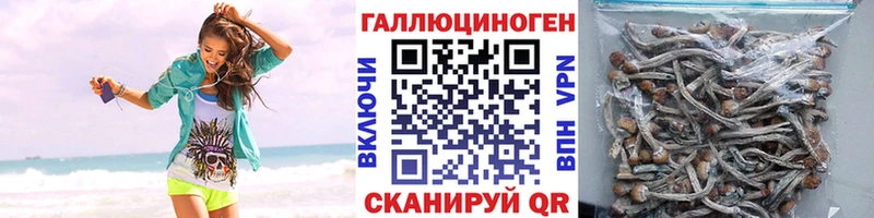 MEGA ONION  Лабытнанги  Галлюциногенные грибы ЛСД 