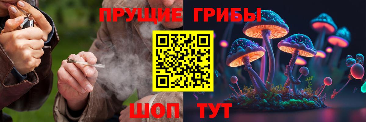 Лабытнанги  Галлюциногенные грибы Psilocybine cubensis  Вход с VPN 
